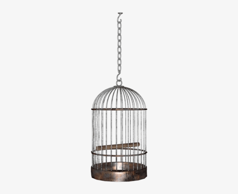 Free Png Bird Cage Png Images Transparent - Hanging Cage Png, transparent png