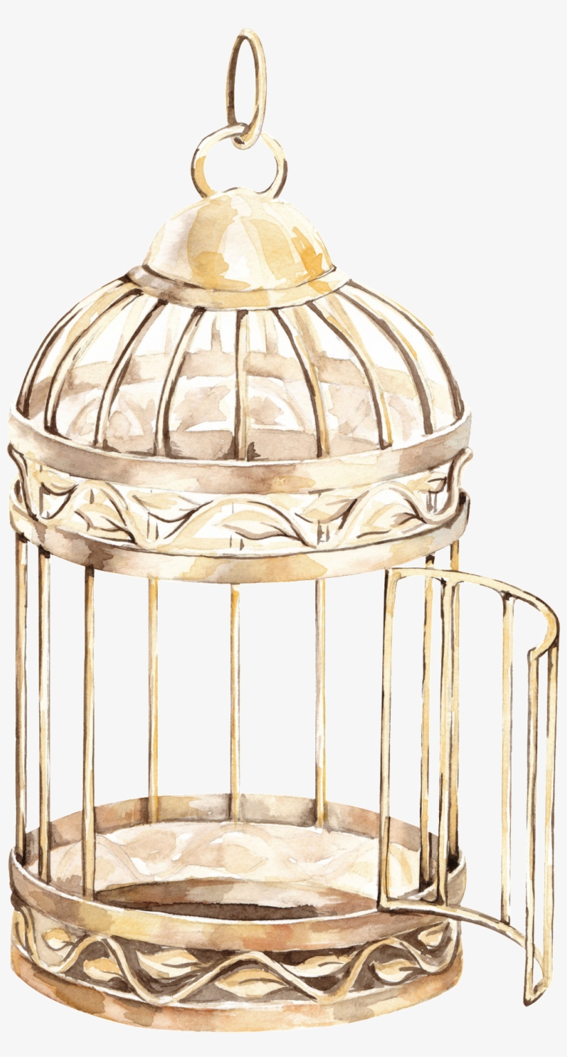 This Backgrounds Is Delicate Bird Cage Transparent - Bird Cage Transparent Background Png, transparent png