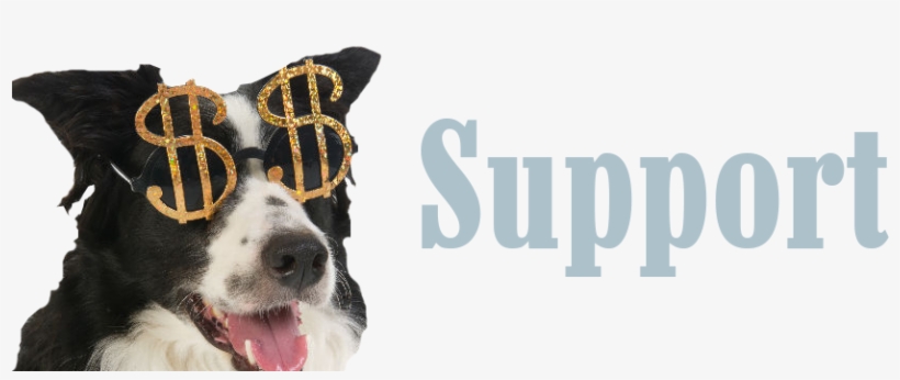 Feel The Burning Urge To Donate It's Not Necessary - Photography, transparent png