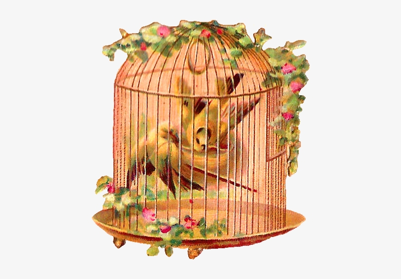 Birdcage Clipart Pink - Birds Victorians Scrap, transparent png
