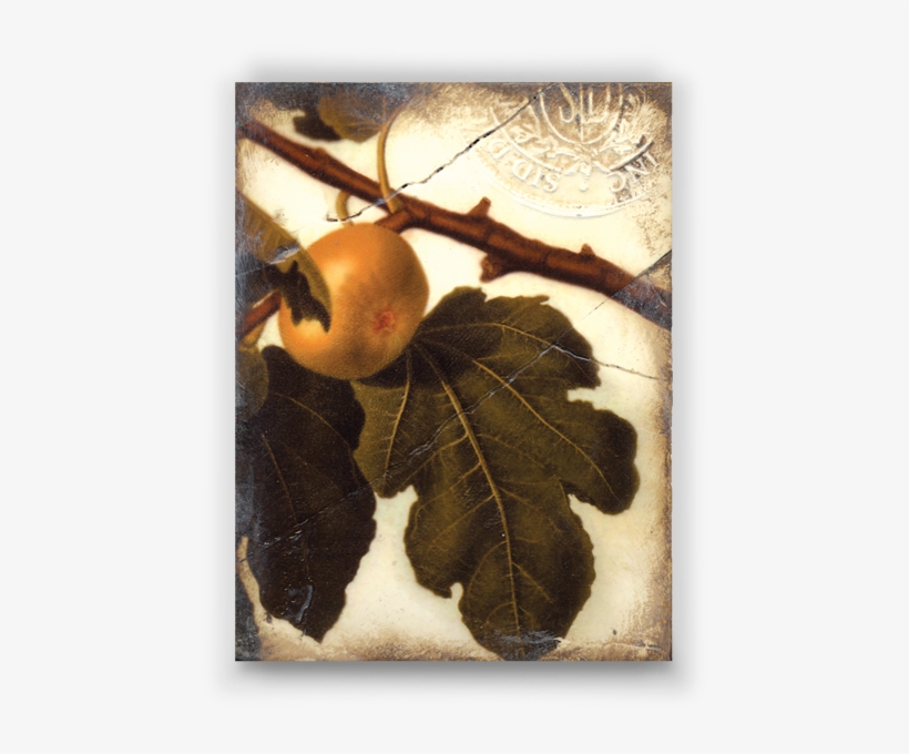 Tile, transparent png