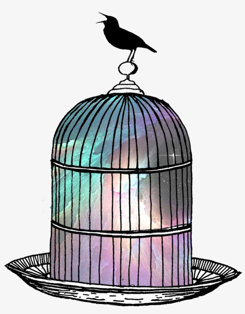 Birdcage-space - The Flea, transparent png