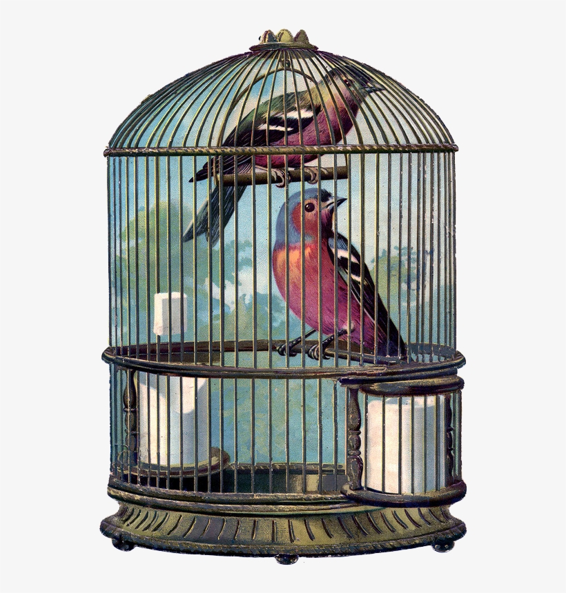 Ch - B *✿* - Vintage Bird Cage Png, transparent png