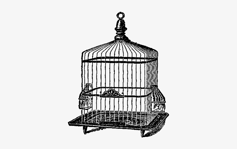 Free Bird Cage Digital Stamp - Birdcage, transparent png
