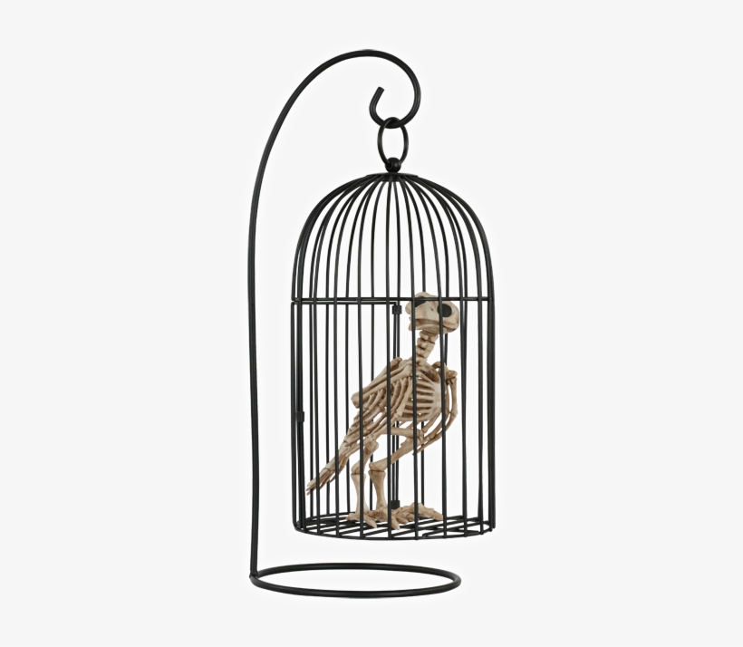 Halloween Skeleton Crow In Birdcage - Bird In Cage, transparent png