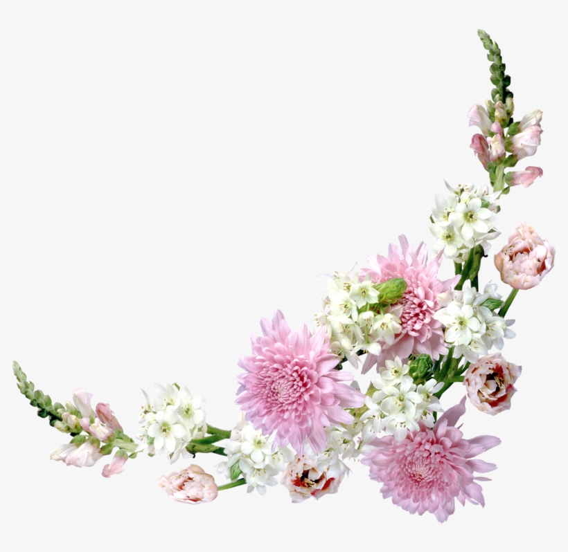 Vector Freeuse China Aster And Tuberose Flowers Meadows - Corner Flower Bouquet Free, transparent png