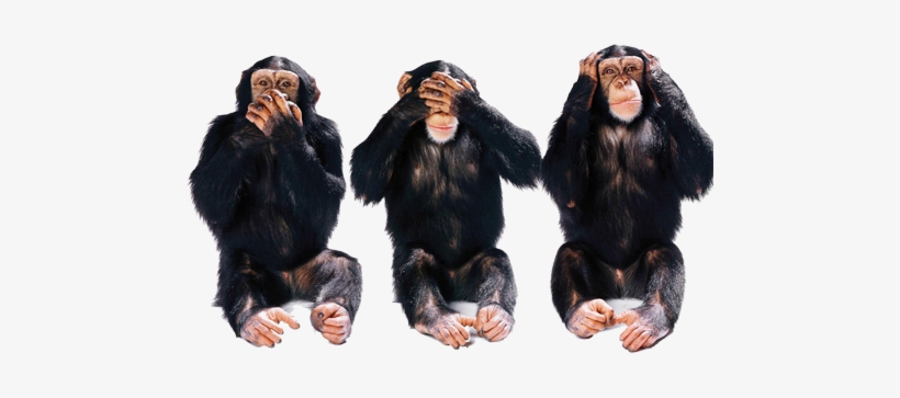 Hear No Evil Png Clip Art Library Library - Sea No Evil Hear No Evil, transparent png