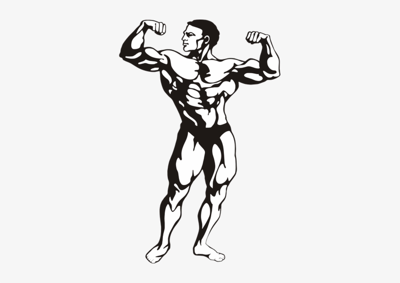 Muscular Man Public Domain Vectors - Bodybuilder Clipart, transparent png