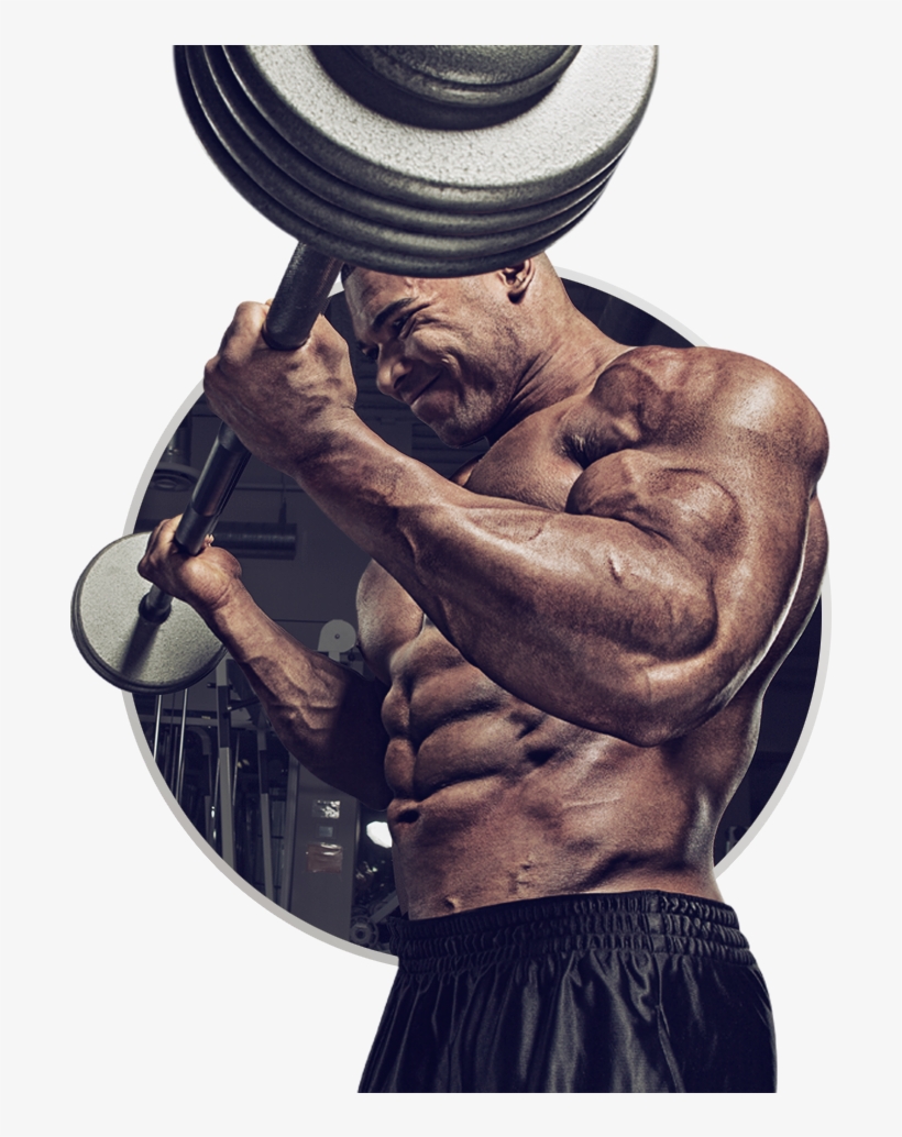 Muscletech Mass-tech Extreme 2000, transparent png