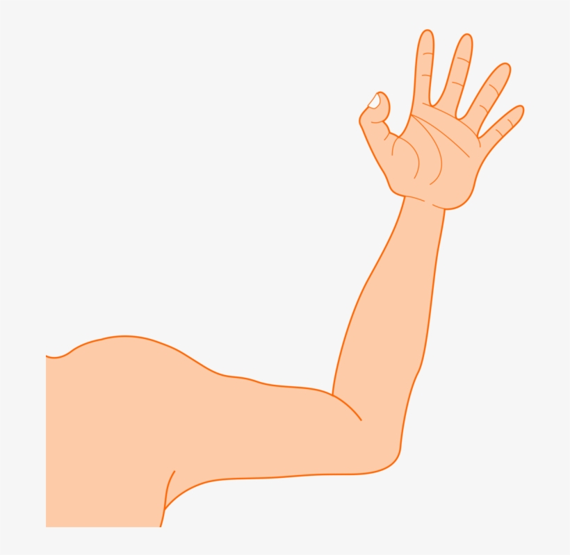 Robotic Arm Muscle Blog Document - Arm Clip Art, transparent png