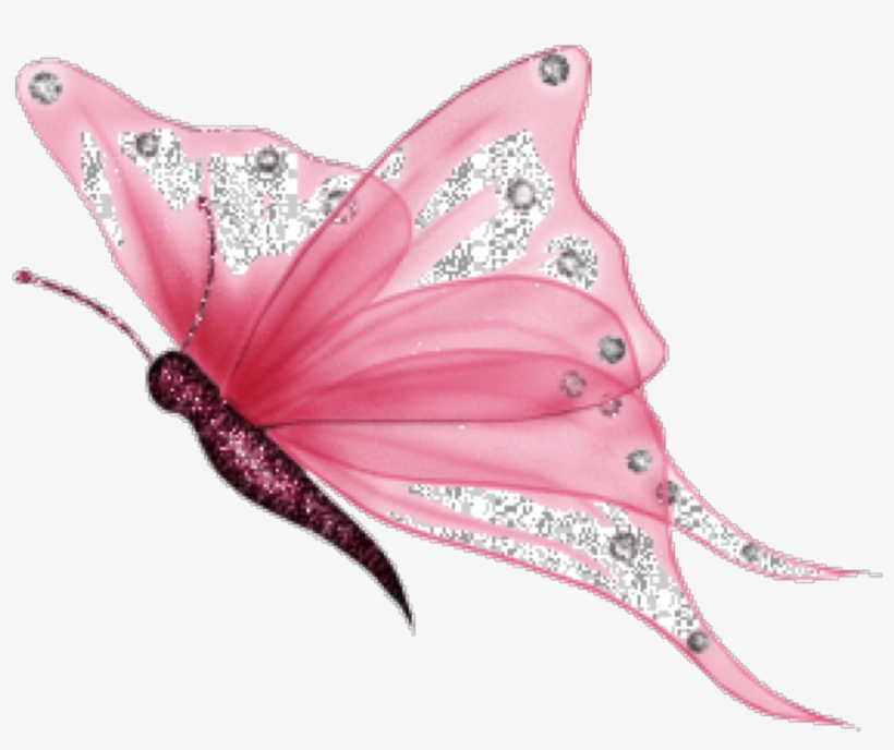 Report Abuse - Imagenes De Mariposas Png, transparent png