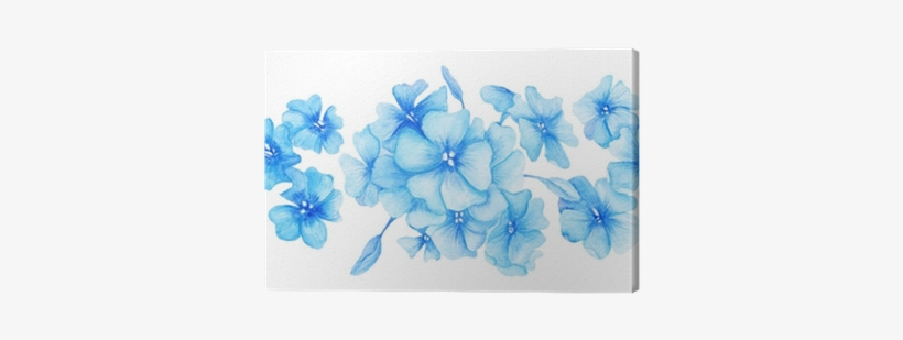 Blue Hydrangea Watercolor Illustration Canvas Print - Hydrangea Png Small Watercolour Hydrangea, transparent png