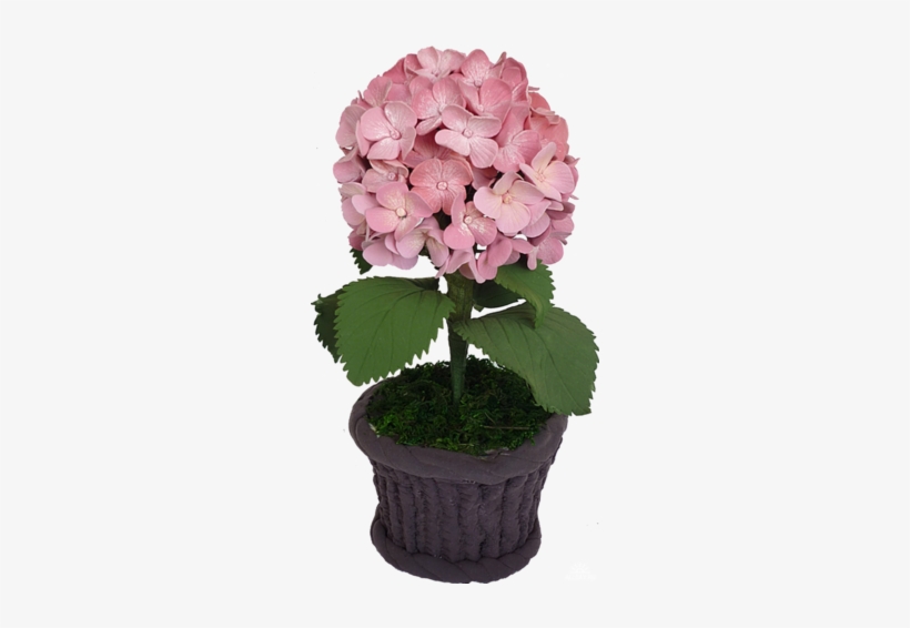 Download Clip Art Clipart Hydrangea Clip Art - Hydrangea, transparent png