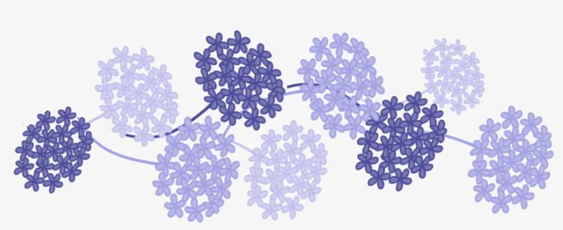 Haruka Thought That If He Saw Makoto Every Day, Everything - Hydrangea Flowers Png, transparent png