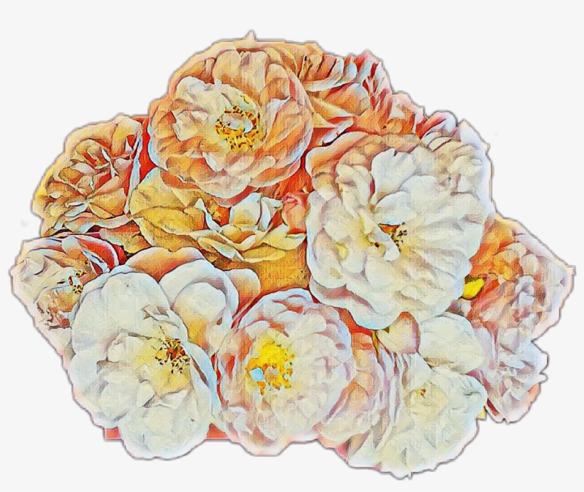 Report Abuse - Chinese Peony, transparent png