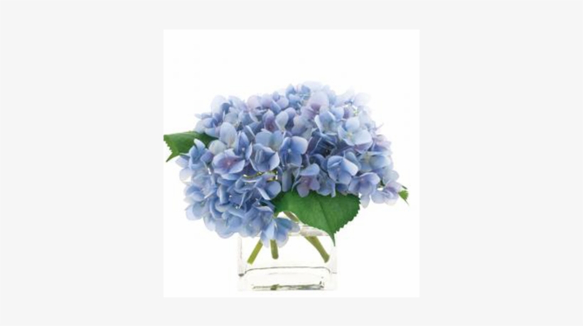 Blue Hydrangeas - Blue Silk Hydrangeas In A Glass Cube, transparent png