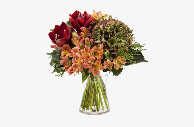 Amaryllis And Hydrangea - Fall Funeral Flower Arrangements, transparent png