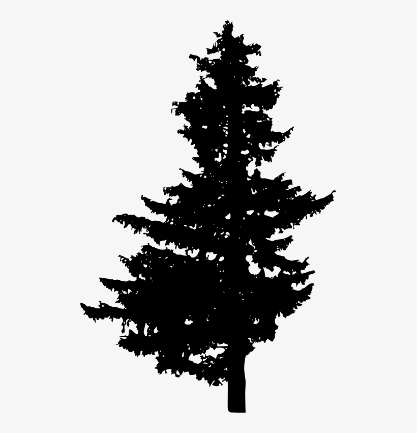 Pine Silhouette Png - Pine Vector Png Free, transparent png