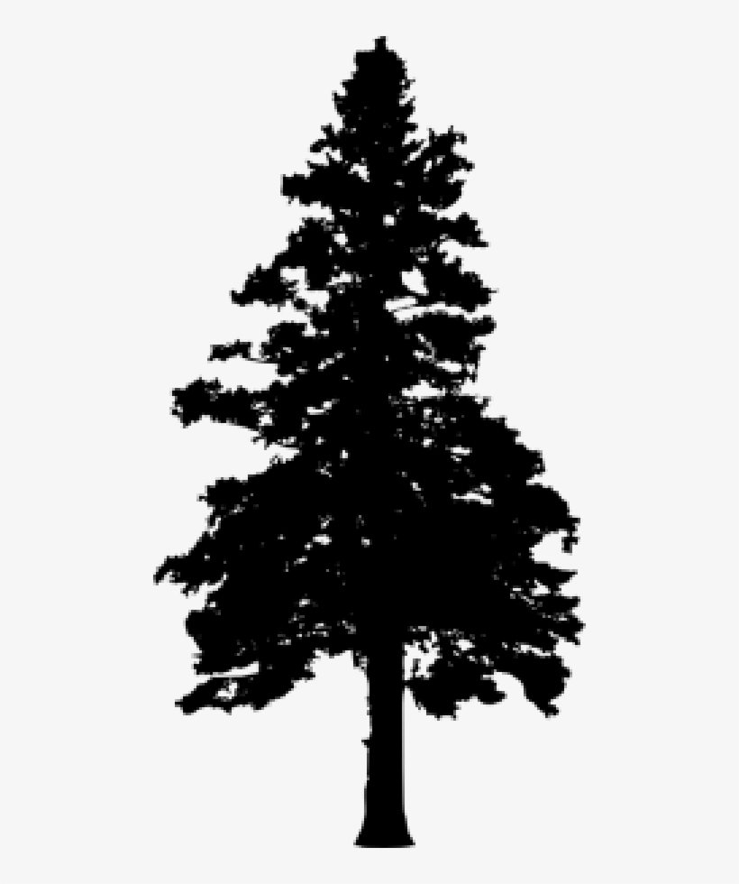 30 Pine Tree Silhouette Vol - Pine Trees Transparent Background, transparent png