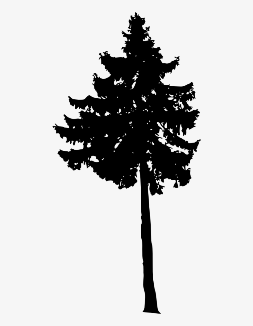 Free Png Pine Tree Silhouette Png Images Transparent - Portable Network Graphics, transparent png