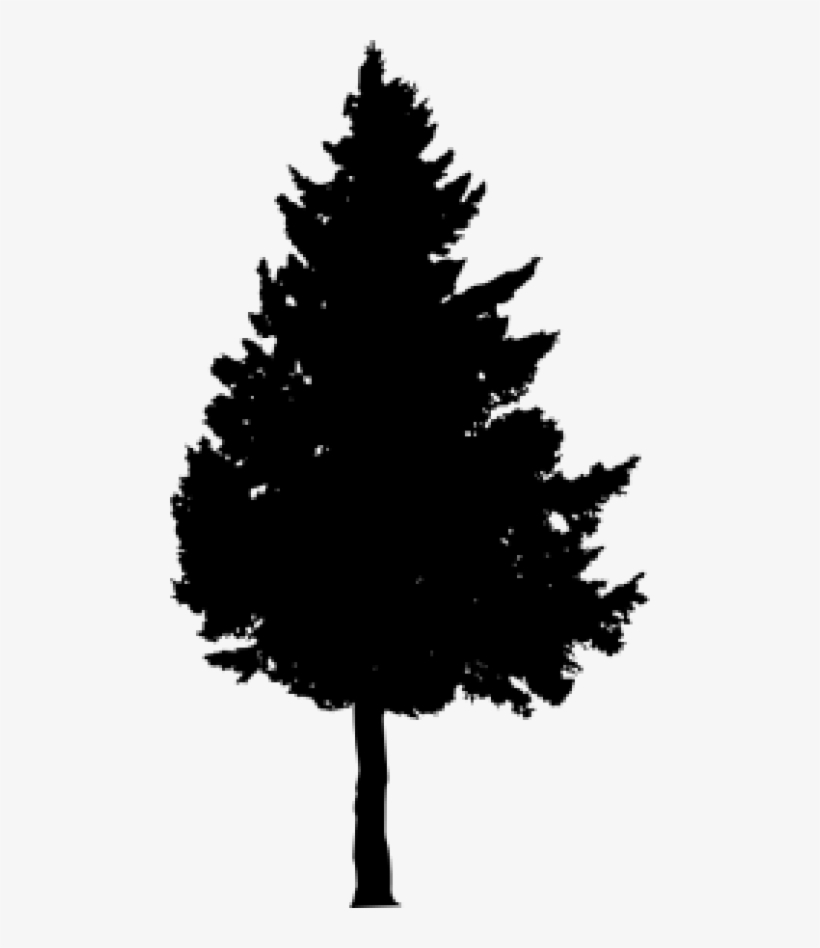 Free Png Pine Tree Silhouette Png Images Transparent - Portable Network Graphics, transparent png