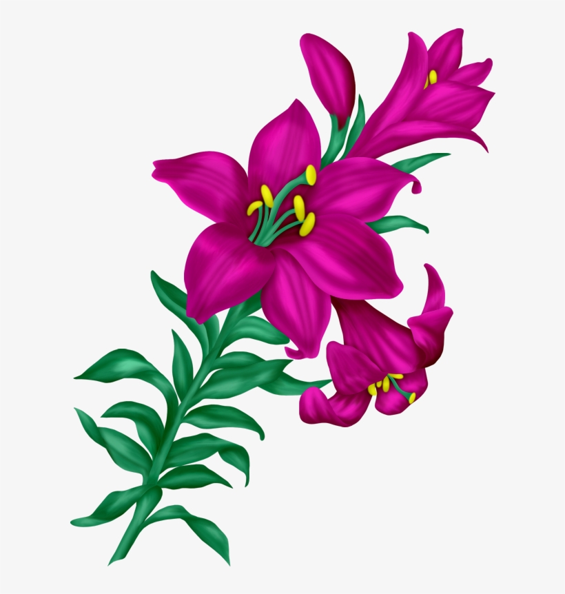 Фото, Автор I - Beauty Flowers Images Png, transparent png