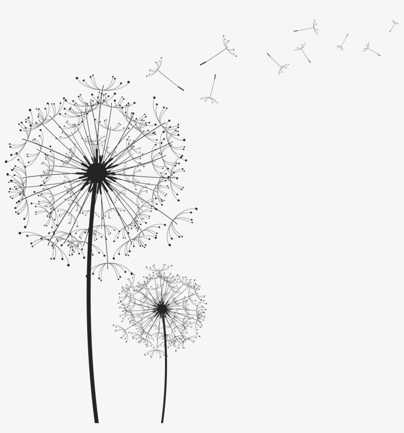 Dandelion Png - 1955x2000 PNG Download - PNGkit