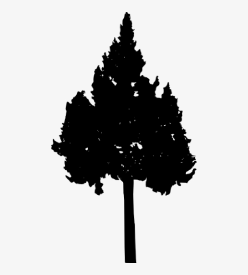 Free Png Pine Tree Silhouette Png Images Transparent - Christmas Tree, transparent png
