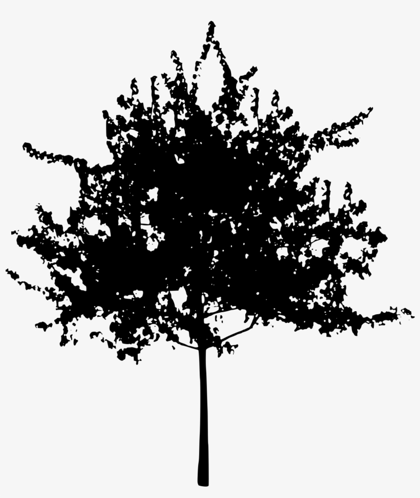 Source - Openclipart - Org - Report - Tall Pine Tree - Urban Rain Garden Design, transparent png