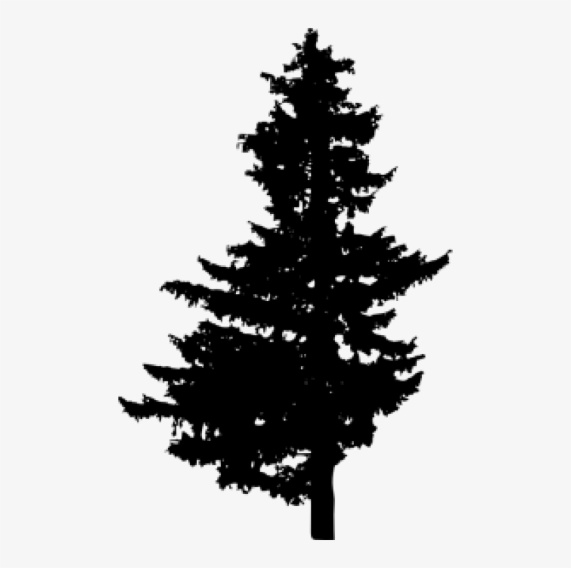 Pine Tree Silhouette Png Images Toppng - Pine Vector Png Free, transparent png