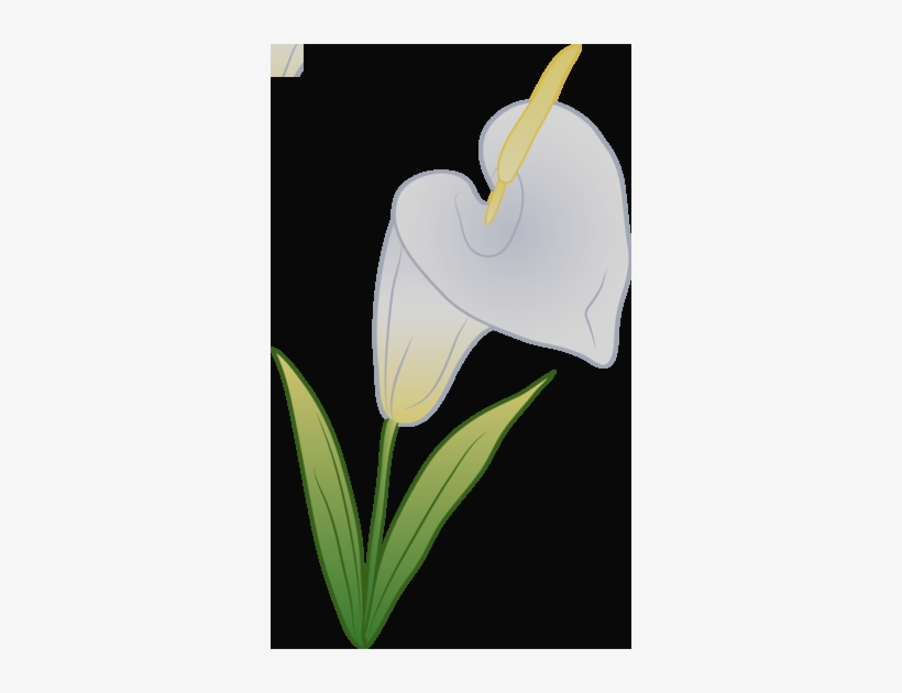 Clip Art, transparent png