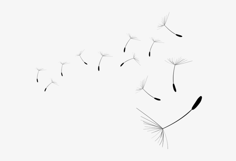 Drawing, transparent png