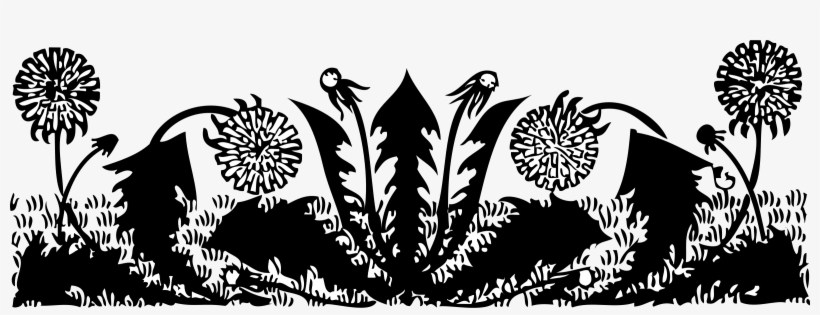 Dandelions Png, transparent png