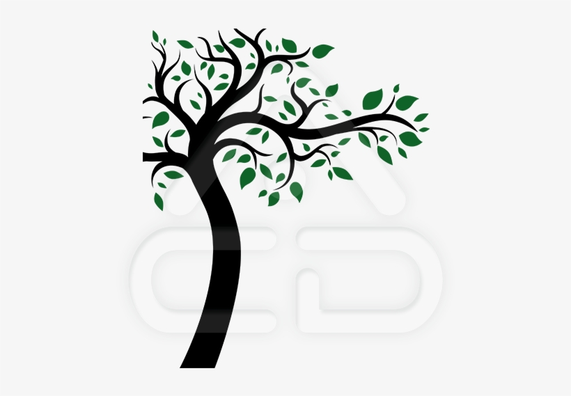 Luke And Lilly Floral,tree Design Vinyl Wall Sticker, transparent png
