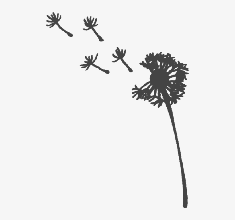 Freetoedit Dandelions Dandelionseeds Png Transparentbac - Silhouette, transparent png