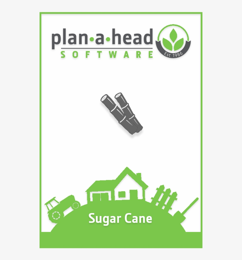 Plan A Head Sugar Cane Software - Software, transparent png