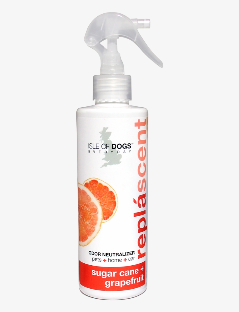 Isle Of Dogs Sugar Cane + Grapefruit Replascent Dog, transparent png