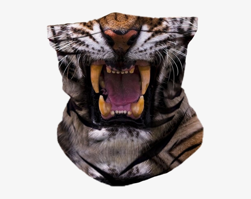 Share This Image - Wildlife Heritage Foundation, transparent png