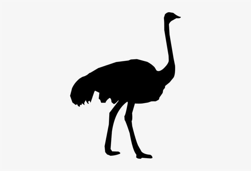 Silhouette, Ostrich, Zoo, Feather Make A Donation, - Ostrich Silhouette, transparent png