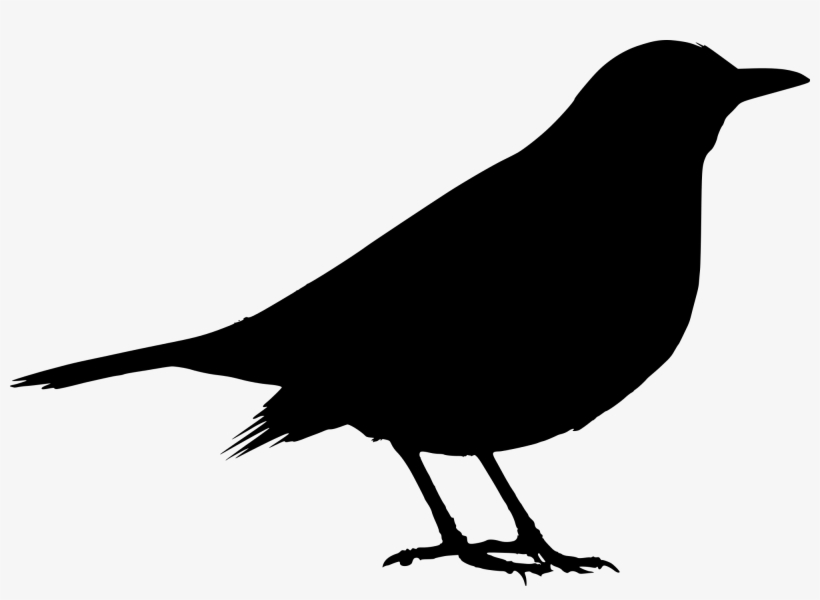 Open - Black Bird, transparent png