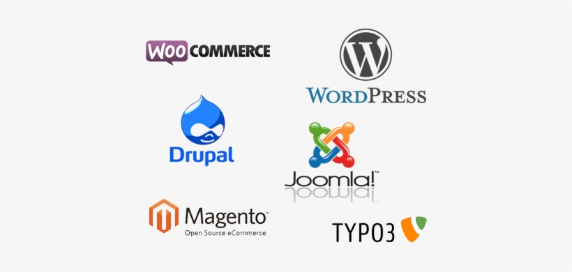 A Company's Website Now Plays A Vital Role In The Day - Websites That Are Dynamic, transparent png