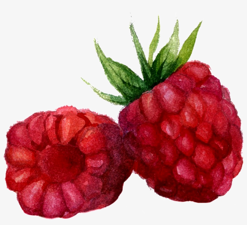 Raspberry Watercolor, transparent png