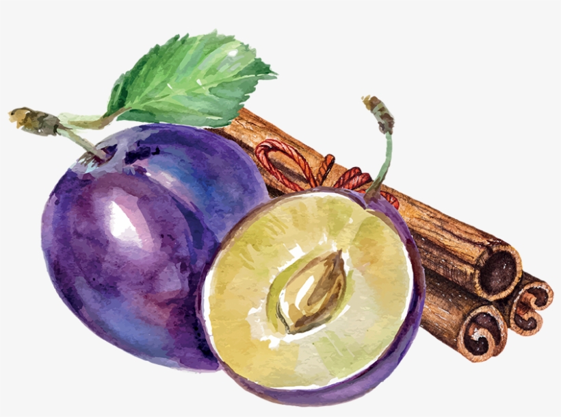 Product Composition - Plum Drawing, transparent png