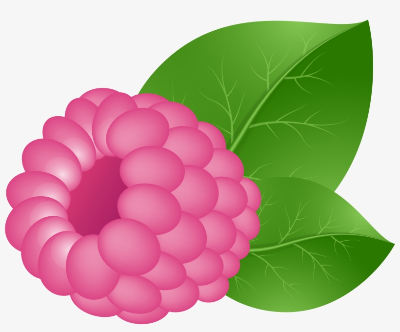 Raspberry Clipart Transparent, transparent png