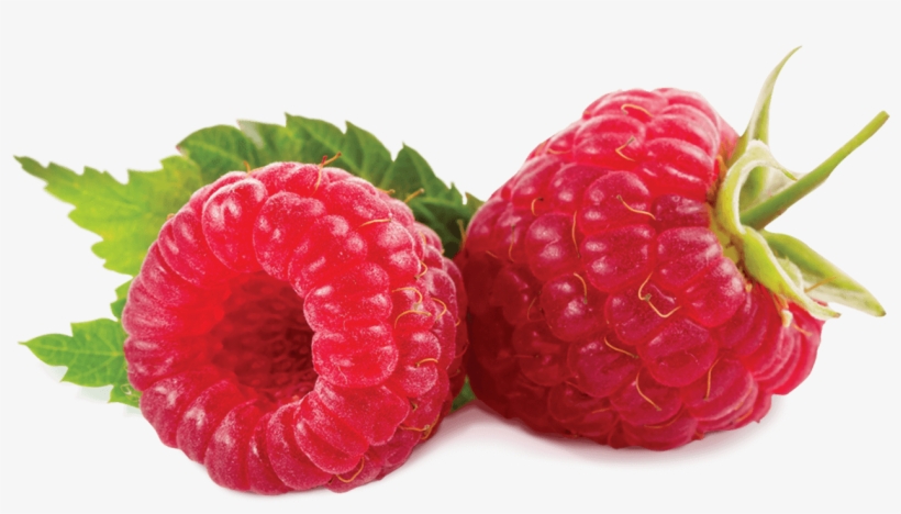 Raspberry - Beneficios De La Mora, transparent png