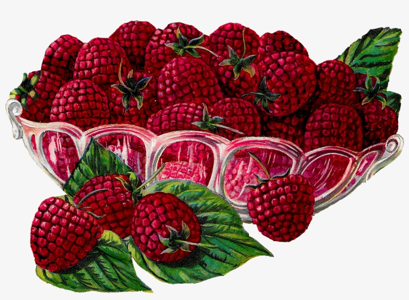 Graphic Black And White Download Antique Images Royalty - Berry Clip Art, transparent png