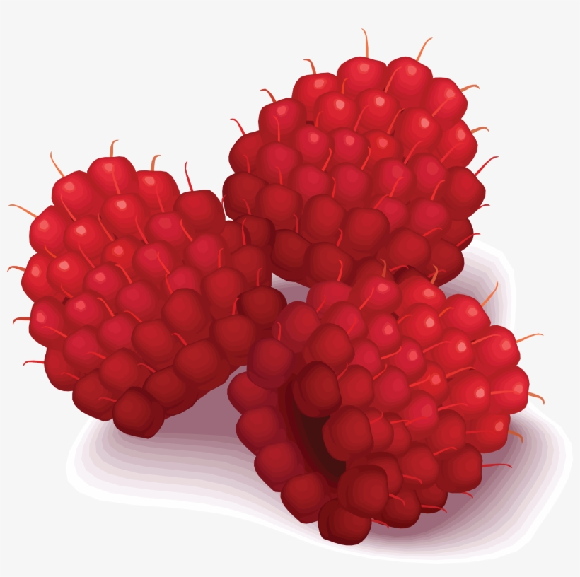 Raspberries Clipart, transparent png