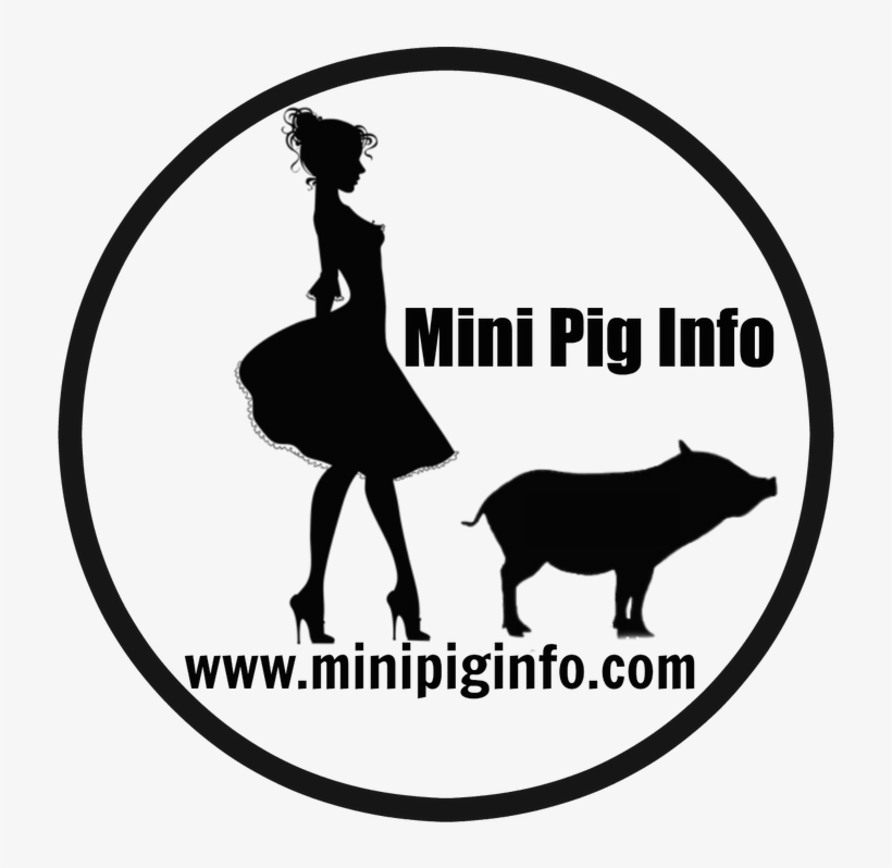 Gift Ideas For The Pig Or Pig Lover In Your Life - Toproyalty1 Ow-g7 Kitchen Digital Thermometer - Auto, transparent png