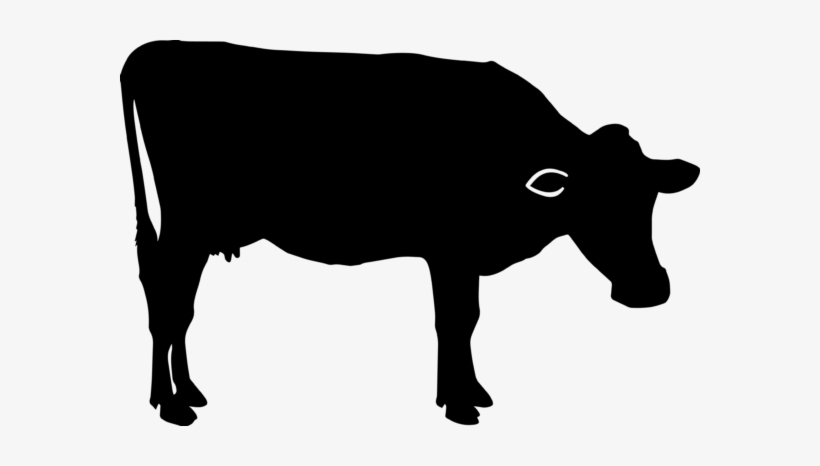 Cow Silhouette Images At Getdrawings - Cattle, transparent png