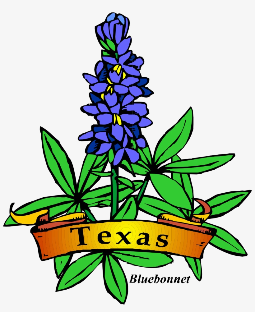 Texas Theme Day Camp, Shac Png Royalty Free Download - Texas State Flower Drawing, transparent png